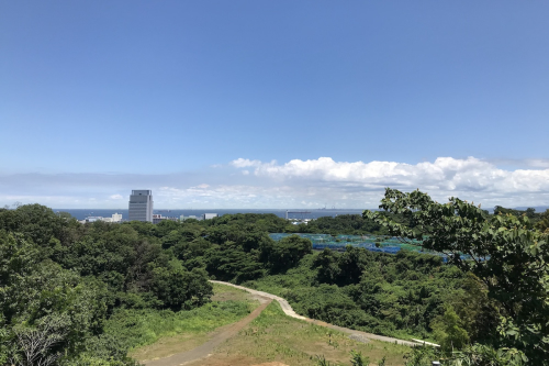 メゾン横浜能見台2の周辺環境