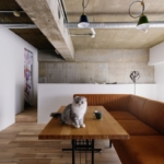 川崎市の中古マンションのリノベーション後のダイニングテーブルにいる猫