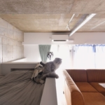 川崎市の中古マンションのリノベーション後の寝室の腰壁にいる猫